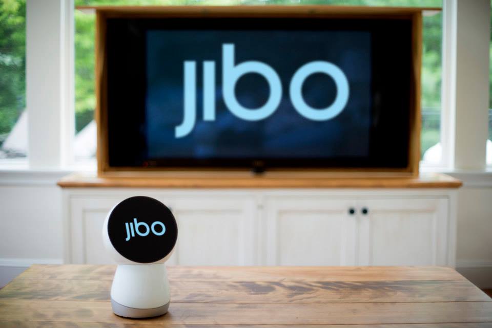 jibo robot