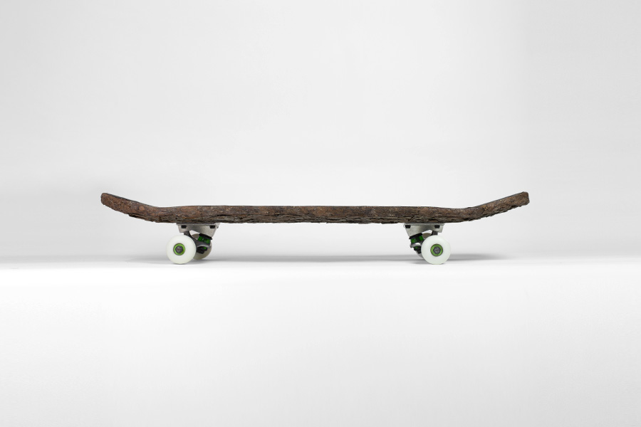 skate_wood_face_1_monsieur_plant