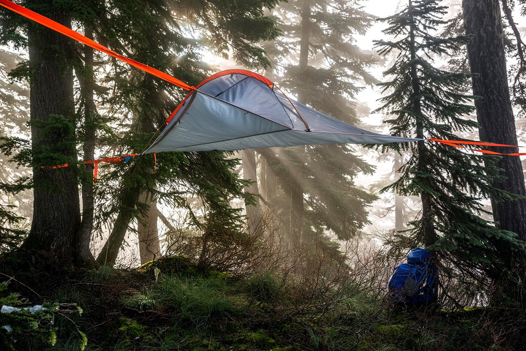 lonebuffalophoto_Nick_Lake_WA_underview_through_the_forest_1024x1024