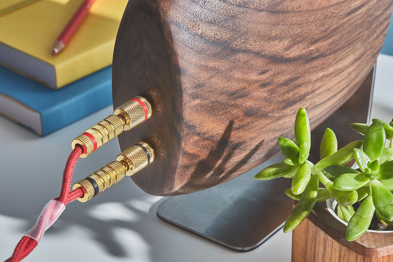 walnut-speaker-fullwidth-4