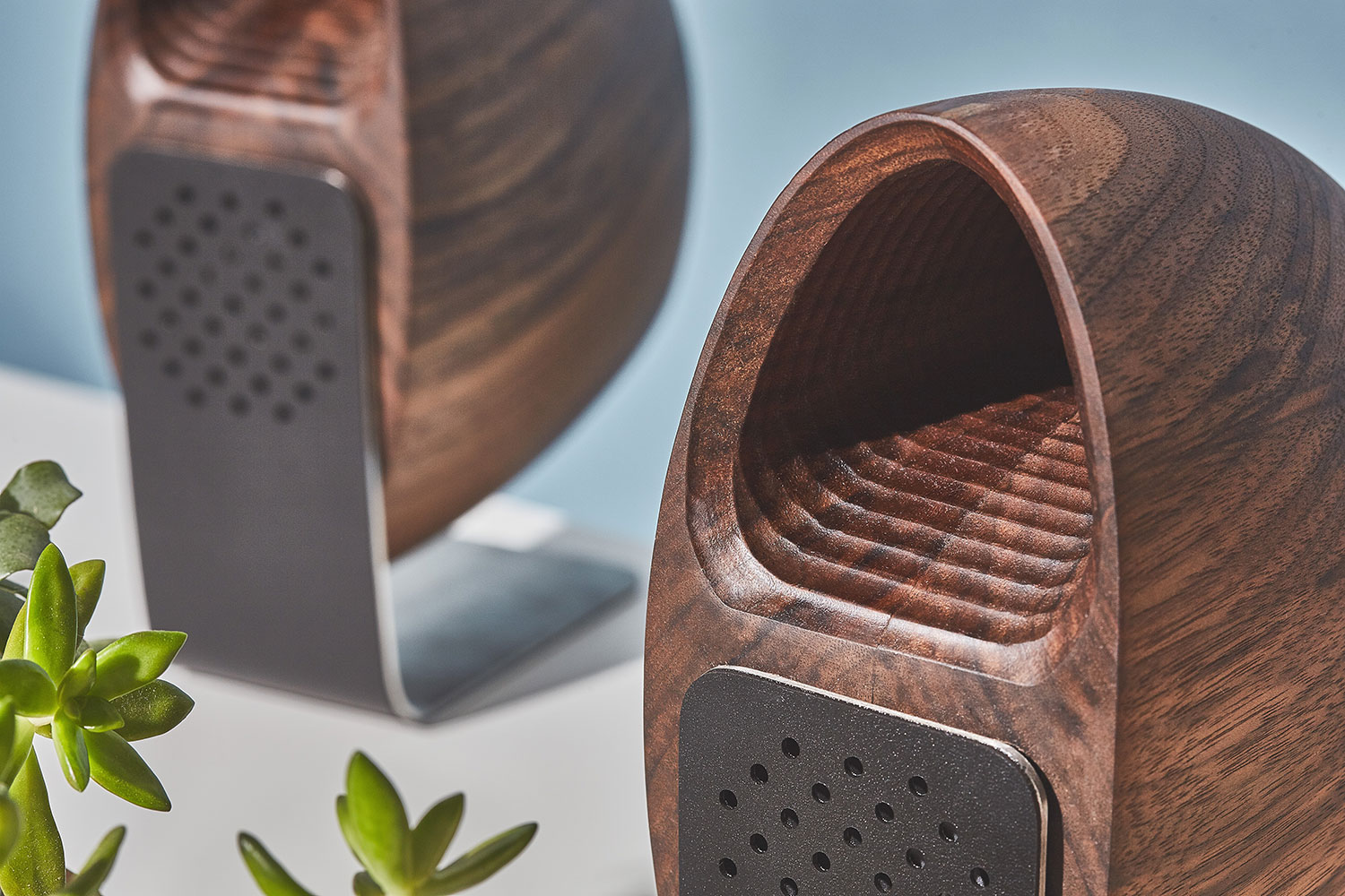 walnut-speaker-fullwidth-5